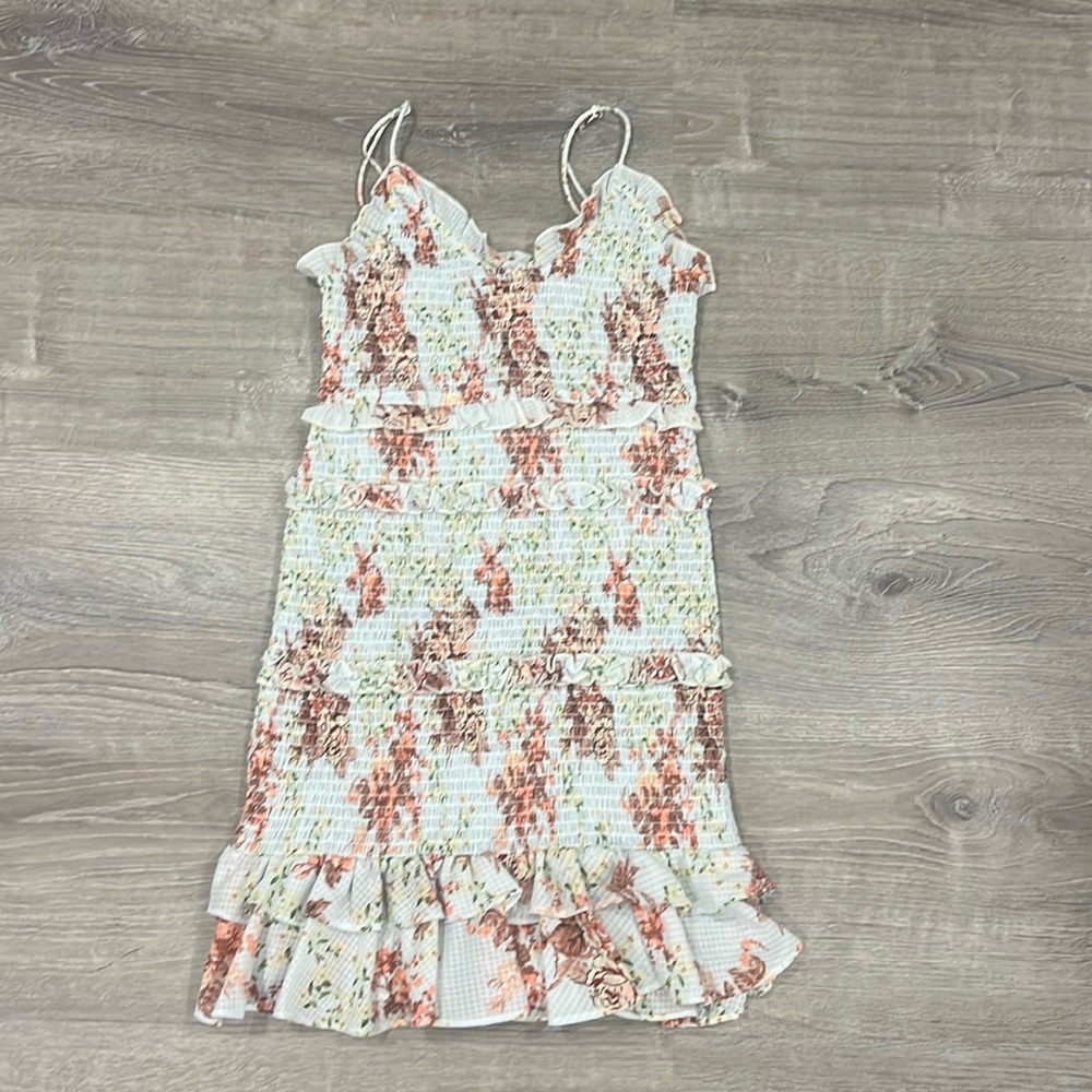 Zara LoveShackFancy  style floral mini dress